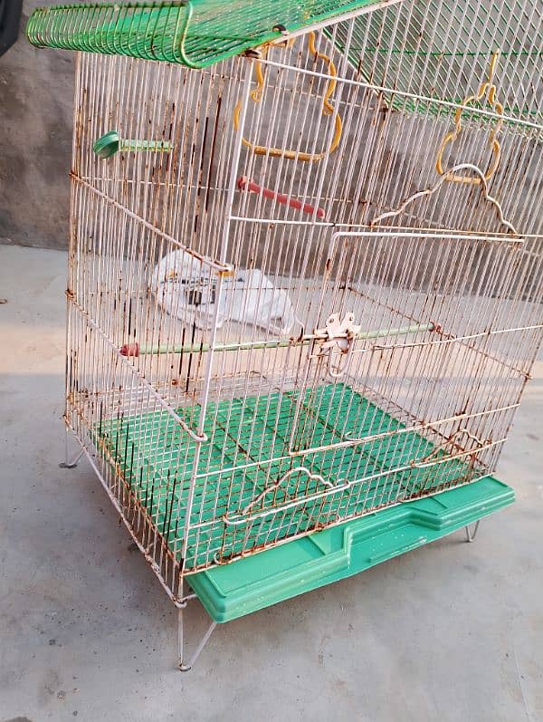 new cage for sale 3