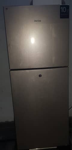 Haier Refrigrators  (Medium size)