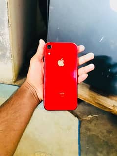 iPhone xr FU Non pta 64GB