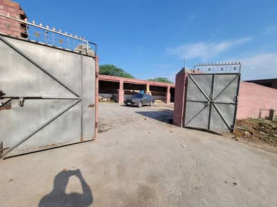 فارم و زرعی زمین برائے فروخت و رینٹ بای پاس روڈ نذر جھنگ سٹی گوگھےولا