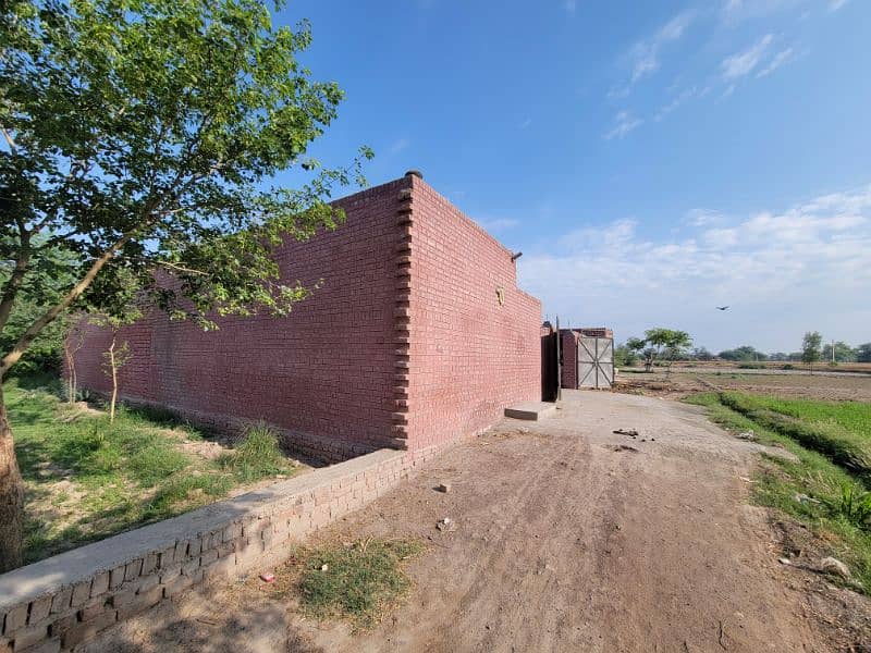 فارم و زرعی زمین برائے فروخت و رینٹ بای پاس روڈ نذر جھنگ سٹی 1