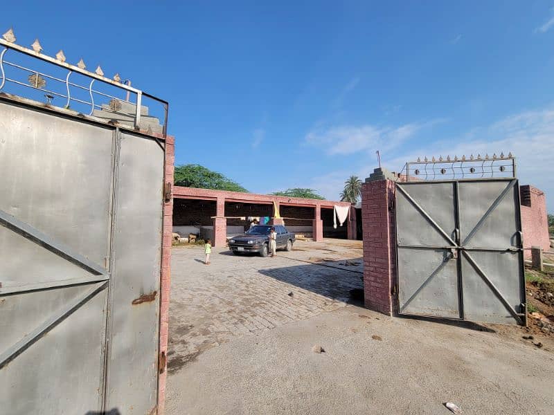 فارم و زرعی زمین برائے فروخت و رینٹ بای پاس روڈ نذر جھنگ سٹی 2