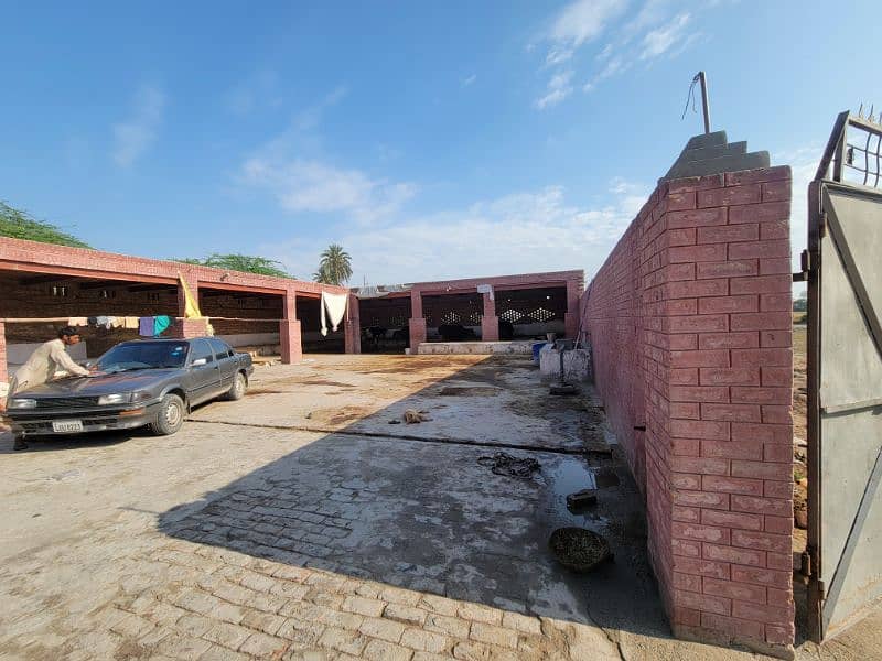 فارم و زرعی زمین برائے فروخت و رینٹ بای پاس روڈ نذر جھنگ سٹی 3