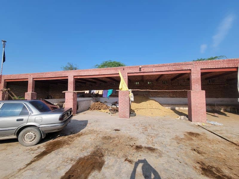 فارم و زرعی زمین برائے فروخت و رینٹ بای پاس روڈ نذر جھنگ سٹی 5