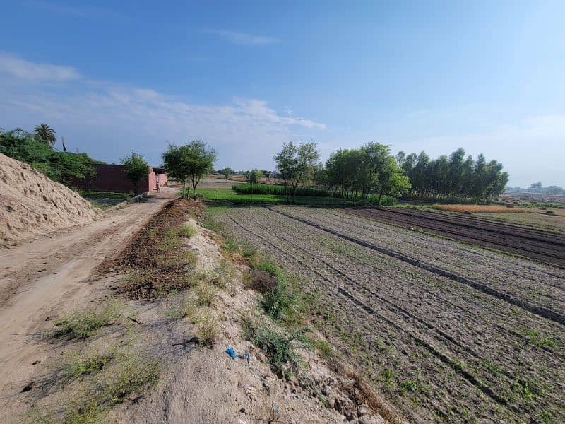 فارم و زرعی زمین برائے فروخت و رینٹ بای پاس روڈ نذر جھنگ سٹی 7