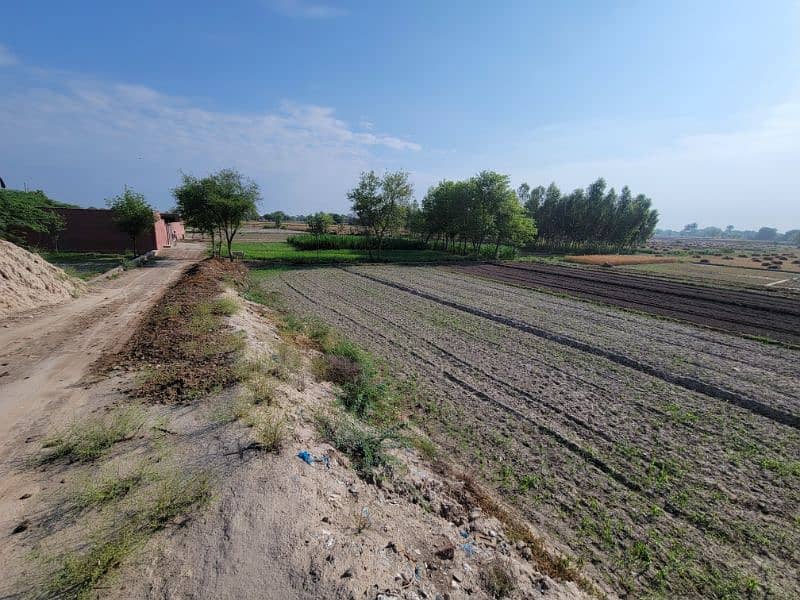 فارم و زرعی زمین برائے فروخت و رینٹ بای پاس روڈ نذر جھنگ سٹی 8