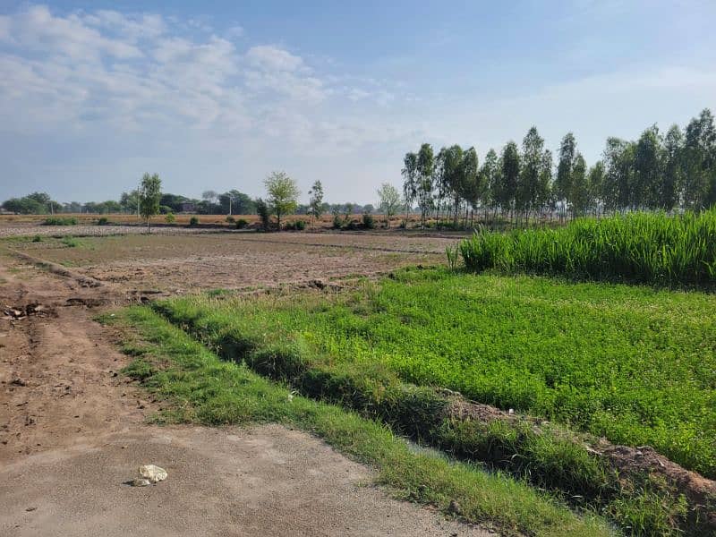 فارم و زرعی زمین برائے فروخت و رینٹ بای پاس روڈ نذر جھنگ سٹی 10