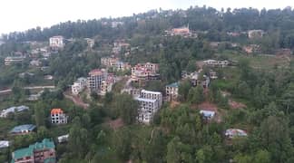 Flat in burban murree on easy installment