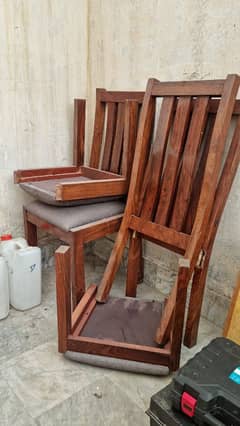 Dining Chairs