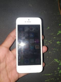 iphone 5