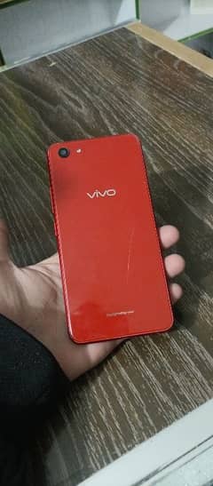 vivo