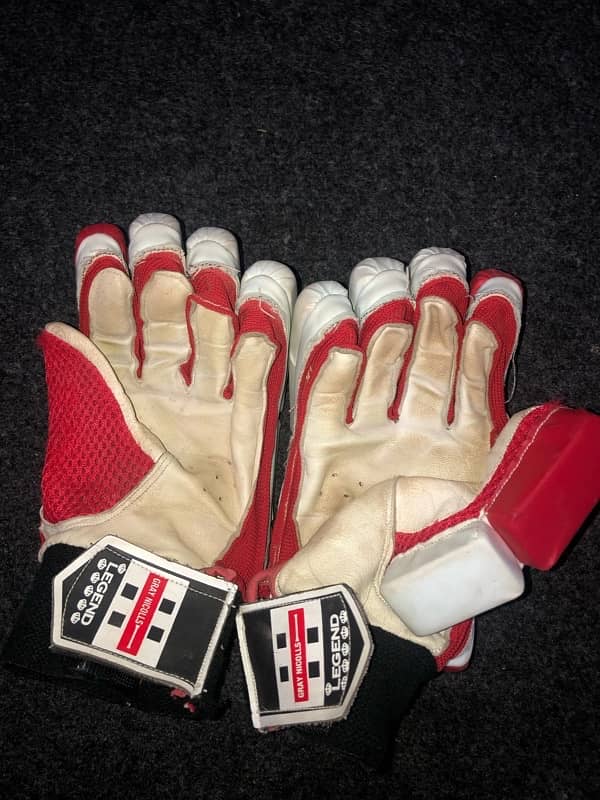 Cricket Hard Ball Gloves, Pads, Elbow, bag 1