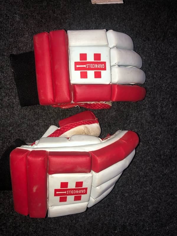 Cricket Hard Ball Gloves, Pads, Elbow, bag 2