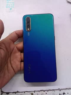 vivo