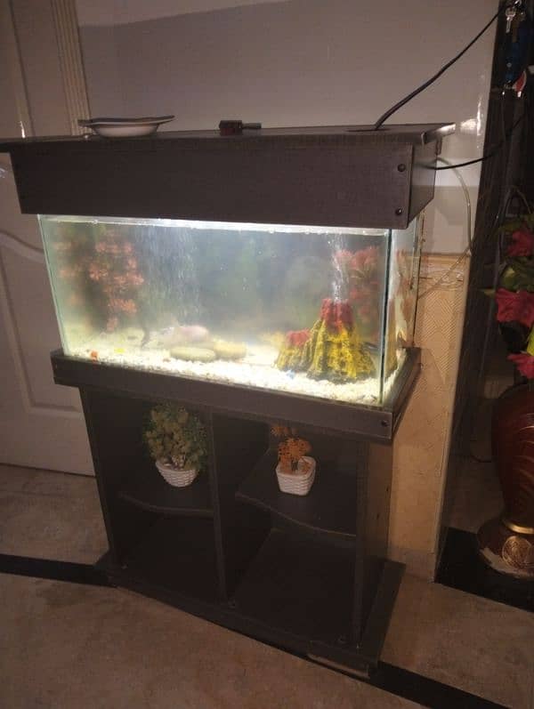 fish aquarium for sale 1