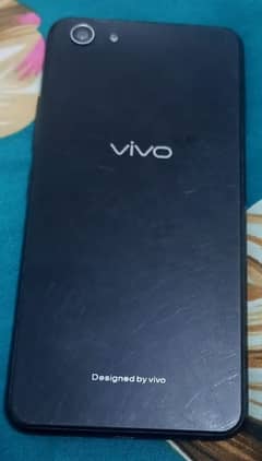 vivo