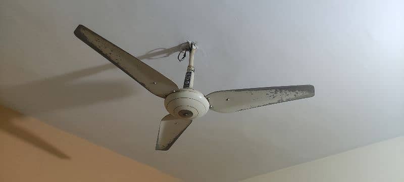 4 ceiling fans in heavy duty for sell 1