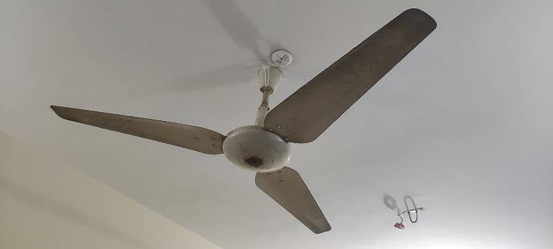 4 ceiling fans in heavy duty for sell 2