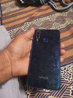 vivo