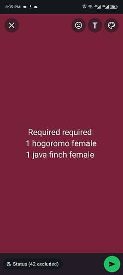 required java and hogoromo female