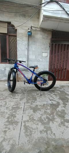 mountain bicycle