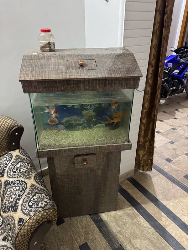 aquarium for sell 0