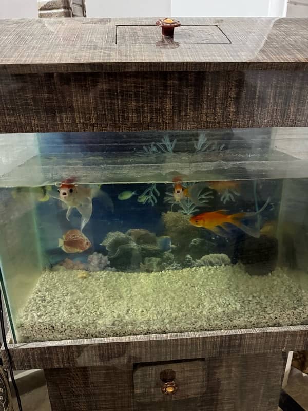 aquarium for sell 1