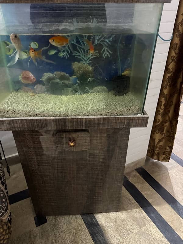 aquarium for sell 2