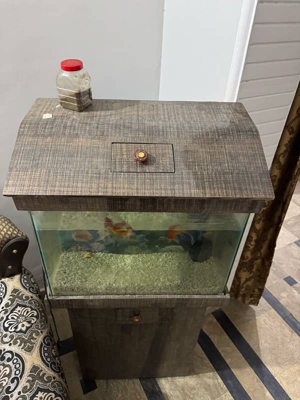 aquarium for sell 3