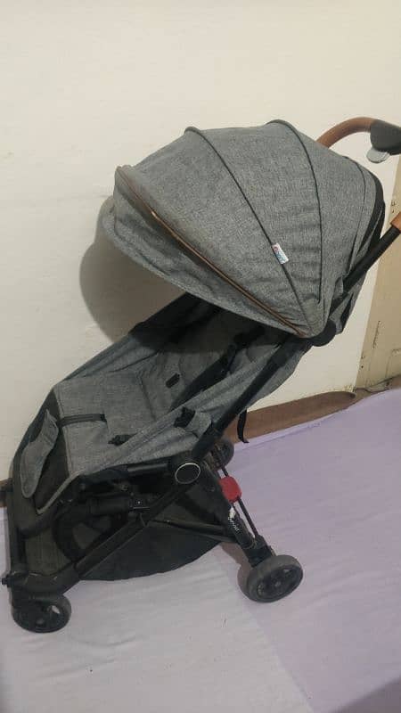 Hunter Leisure Pram for babies 6