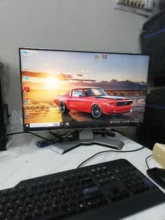 HP & Dell Borderless LED Monitors in A+ Fresh Condition (UAE Import)