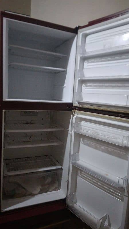 Pel ka hai refrigerator 2