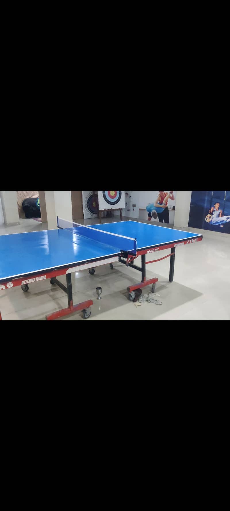 STAG Table tennis table 1