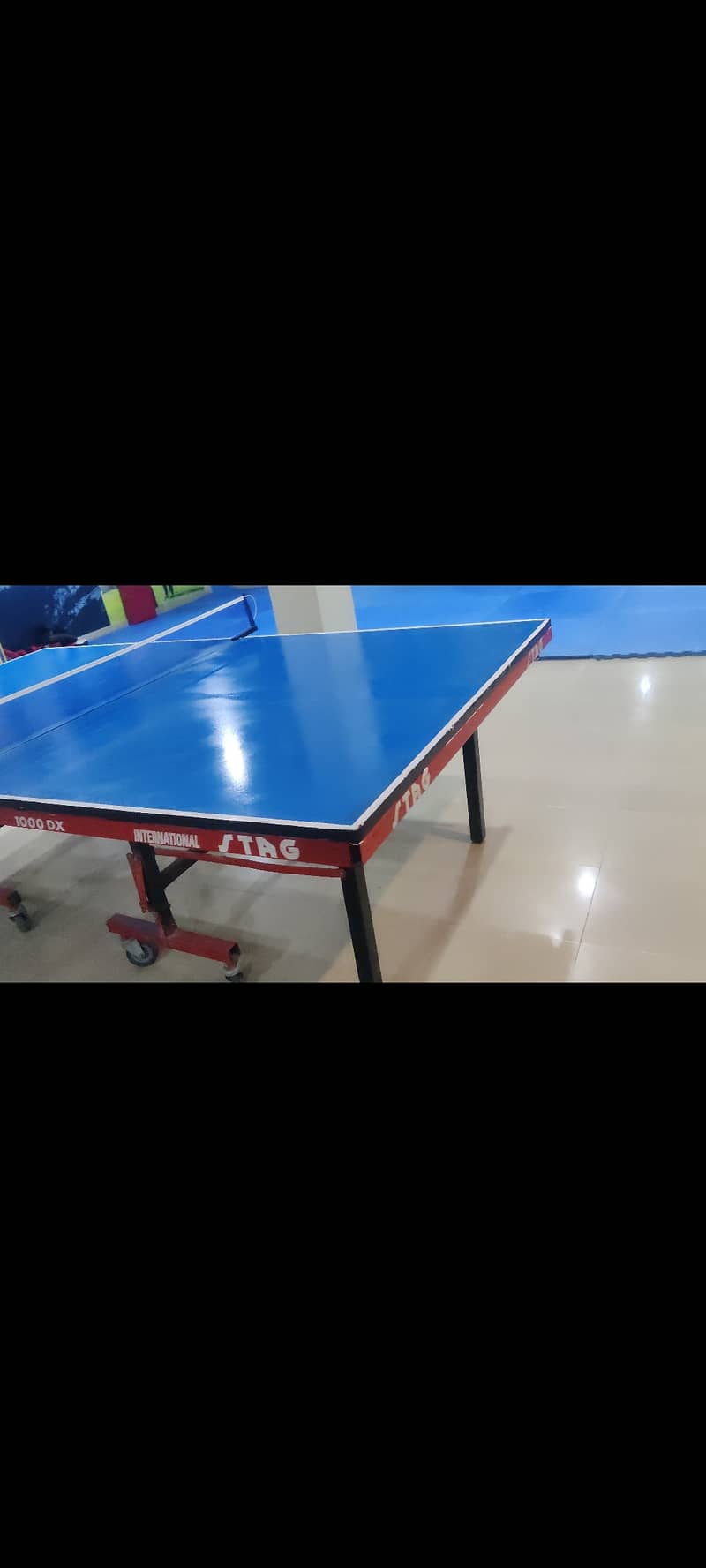 STAG Table tennis table 2