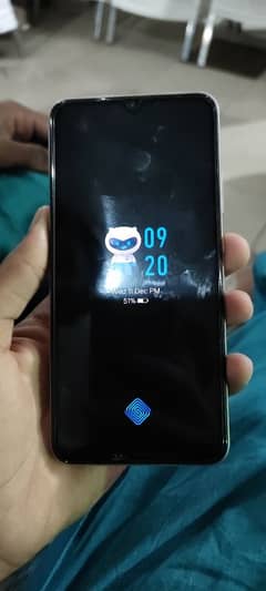 Vivo Brand