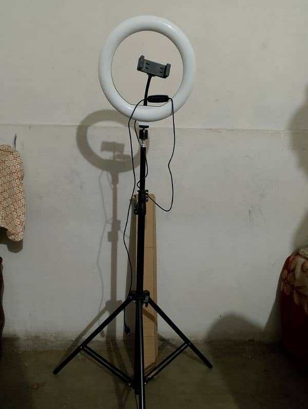 tik tok stand LED light 0