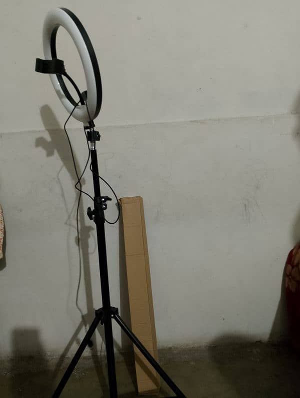 tik tok stand LED light 1