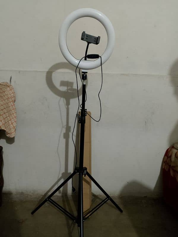 tik tok stand LED light 2