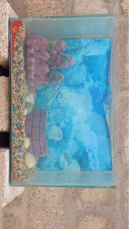 Aquarium for sale 3