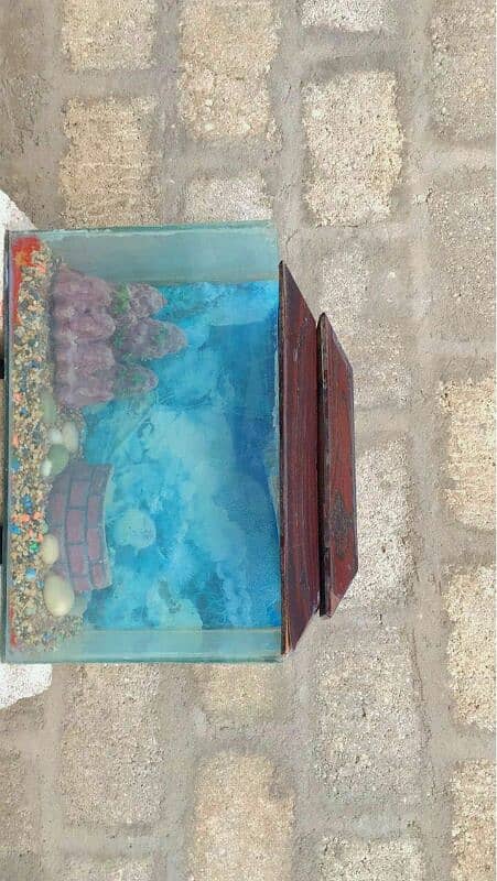 Aquarium for sale 5