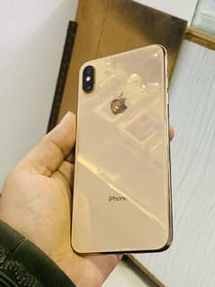 xs max (pta)