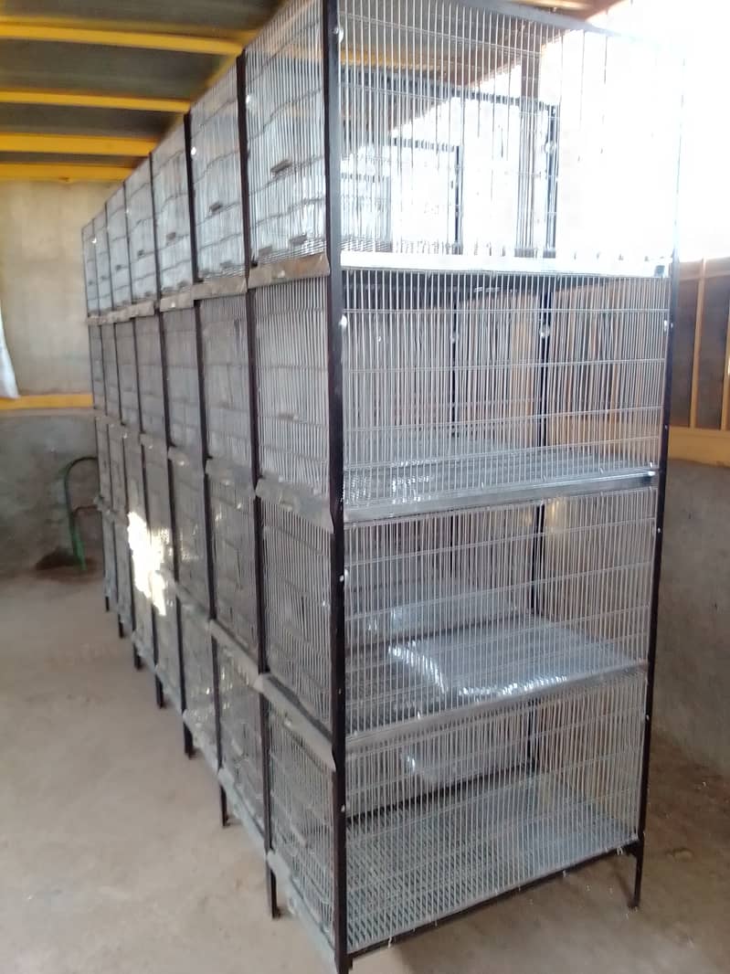 4 portion cage galvanized wair 1