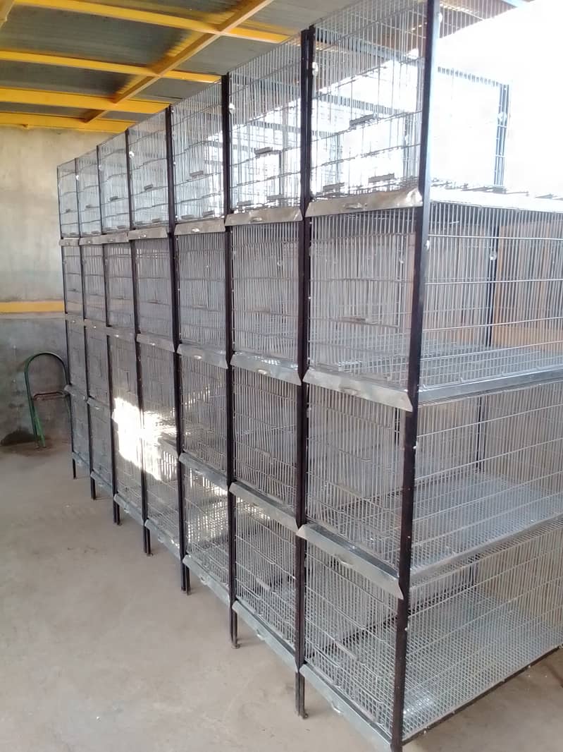 4 portion cage galvanized wair 2