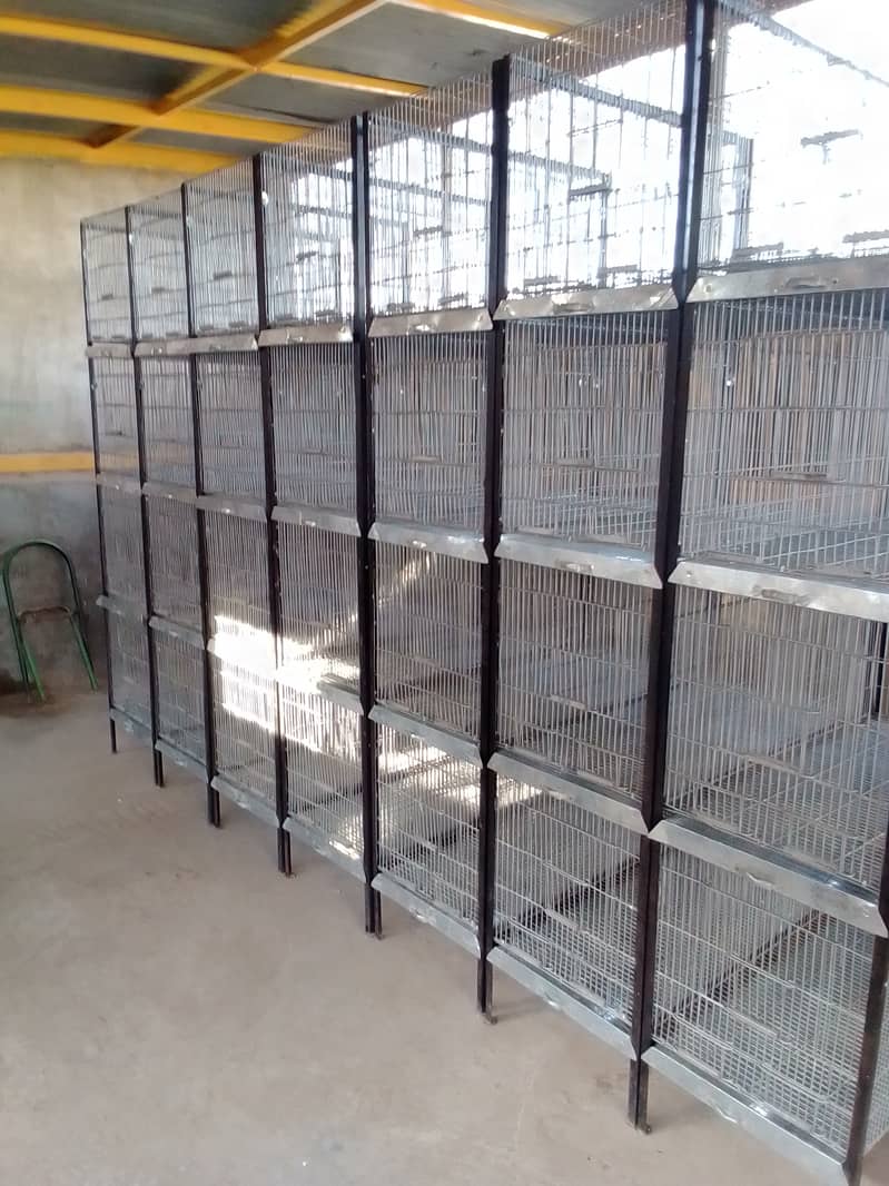 4 portion cage galvanized wair 3