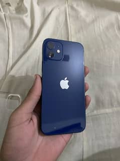 iPhone 12 non (jv)