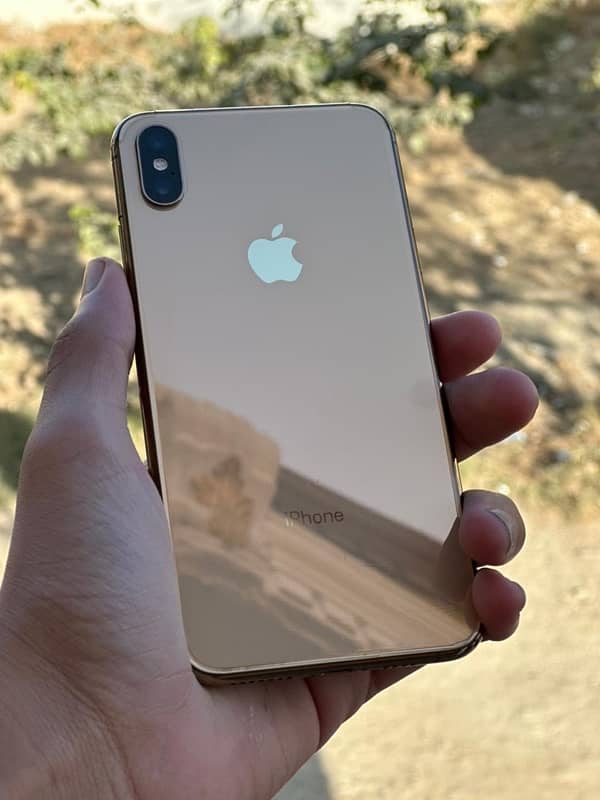 IPHONE XS MAX PTA APROFE 256 GB 0