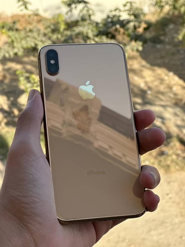 IPHONE XS MAX PTA APROFE 256 GB 1