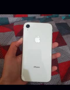 iPhone XR