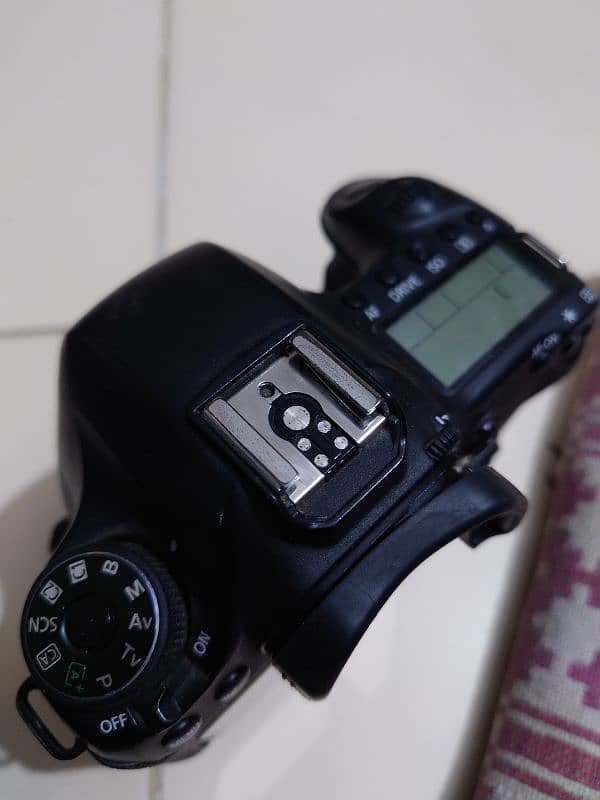 Canon 6D with 50mm and Battery Grip 1