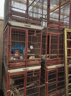 cages for sale